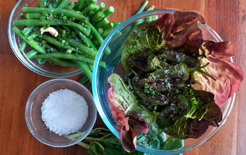 pics-for-site-LANDSCAPE-padron-peppers